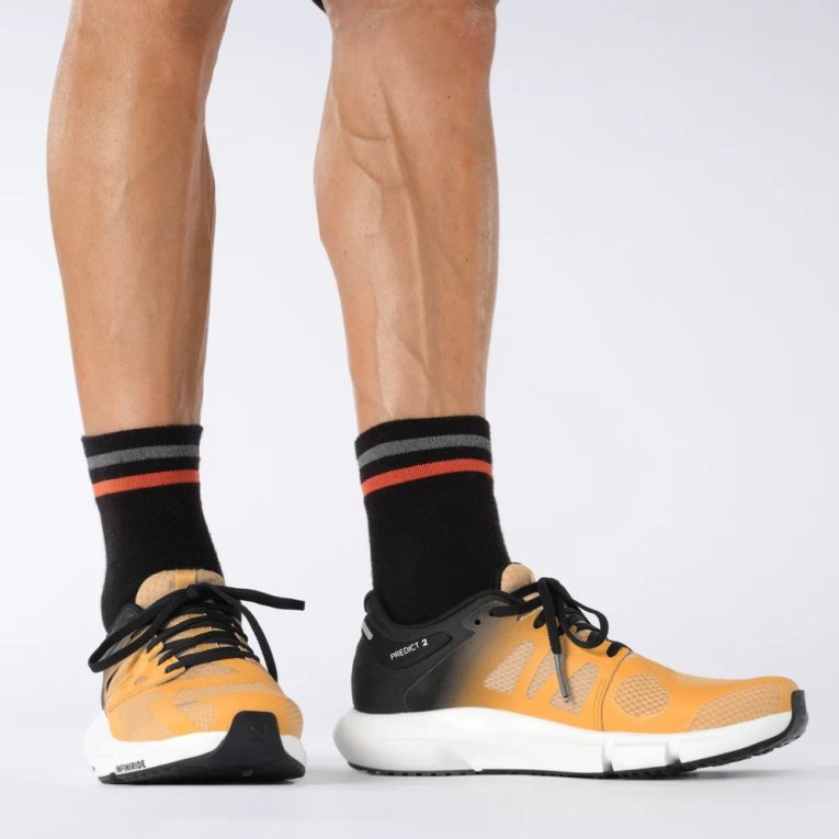 Salomon Predict 2 Men's Running Shoes Mango / Black | CA 83R26